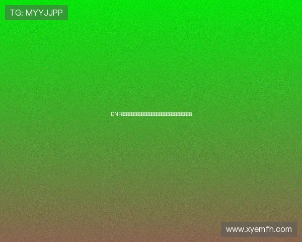 DNF浮沉十年回望与未来命运走向深度解析玩家生态与版本变迁观察 DNF浮沉十年回望与未来命运走向深度解析玩家生态与版本变迁观察